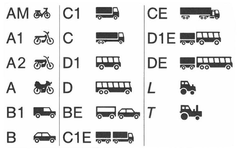 fahrerlaubnisklassen-piktogramme.jpg